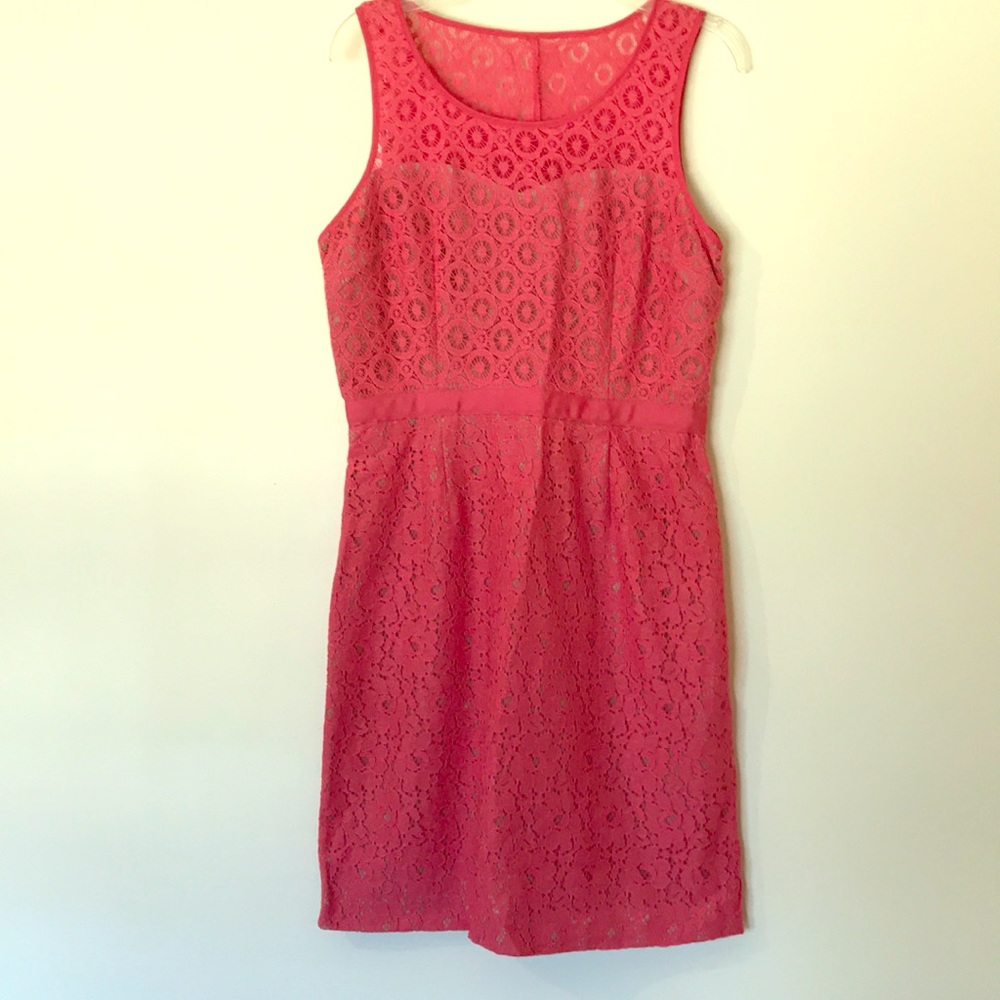 Elle Lace dress